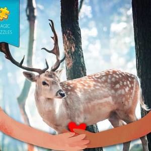 Meet your Posher, Sorab